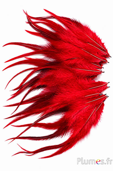 Haan - 15-18 cm - rood koffie